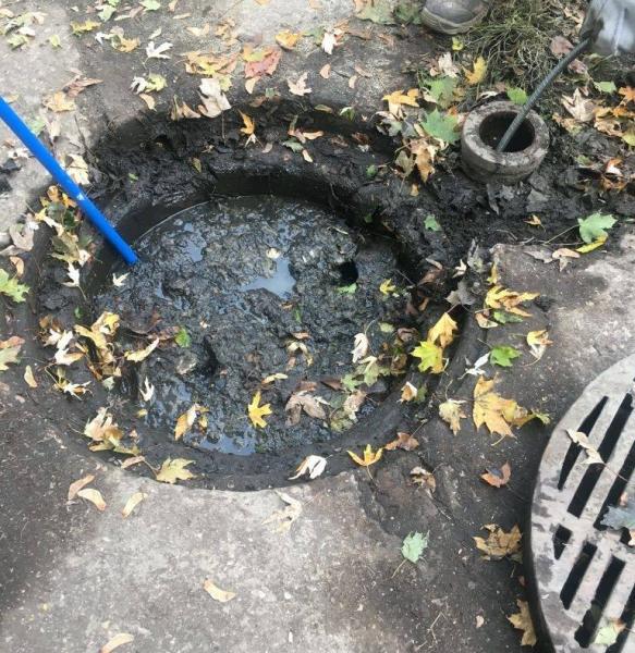 Savings Sewer & Drain