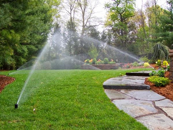 Ocean Irrigation Company