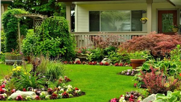 KD Lawncare KC LLC