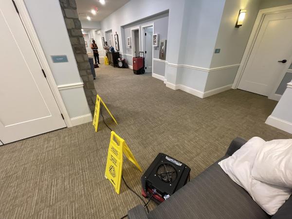 Elite Remediation & Services