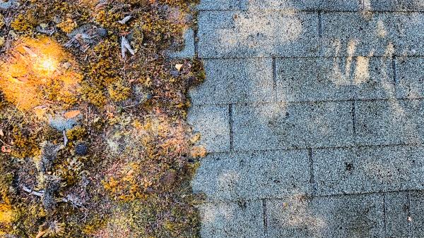 Experienced Roof & Gutter Cleaning