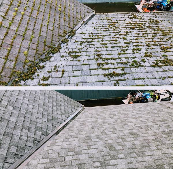 Experienced Roof & Gutter Cleaning