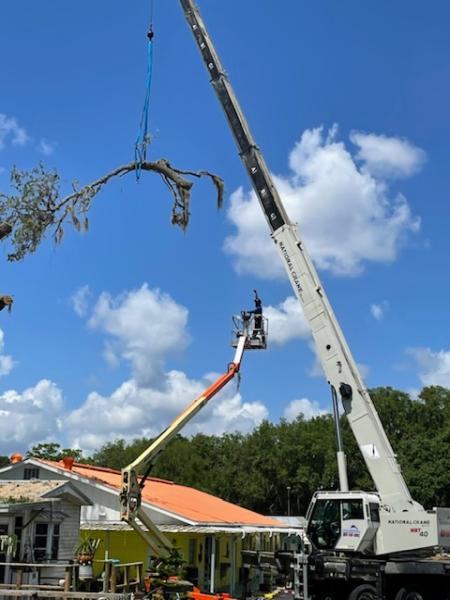 First Choice Tree Service & More Inc.