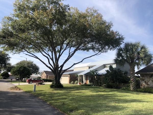 First Choice Tree Service & More Inc.