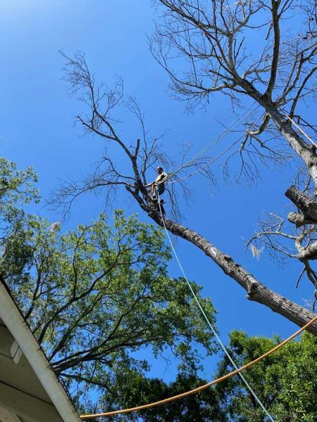 First Choice Tree Service & More Inc.