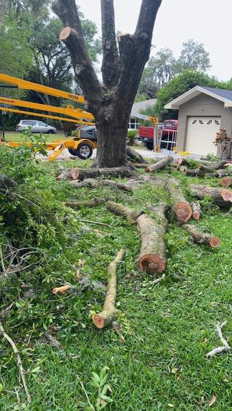 First Choice Tree Service & More Inc.
