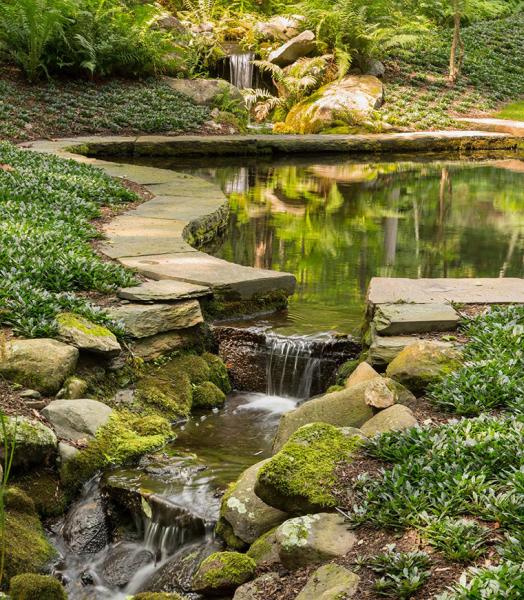 Andrew Zema's Landscaping