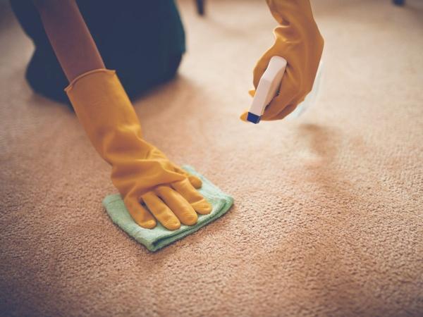 Profastclean