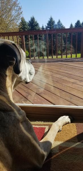 Fourth Coast Window Cleaning