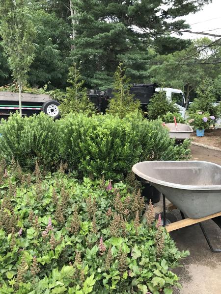 Cutting Edge Lawn & Landscaping
