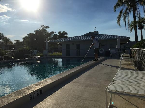 Royal Pool Management