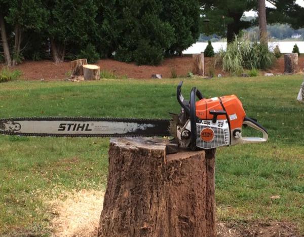 C & E Stump Removal