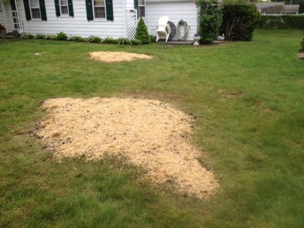 C & E Stump Removal
