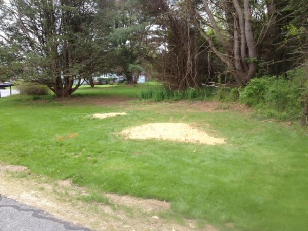C & E Stump Removal