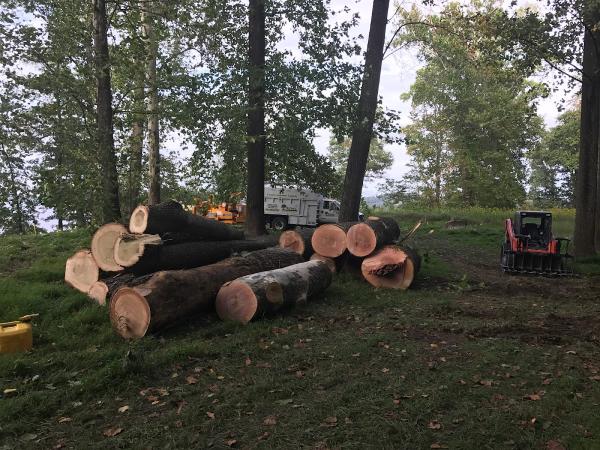 Recinos Landscaping & Tree Services