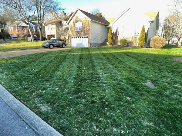 Grasshopper Design-- Residential Landscape Management