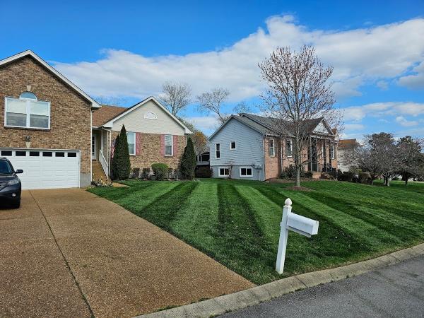 Grasshopper Design-- Residential Landscape Management