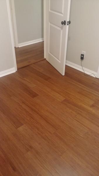 Willis Properties & Reconstruction