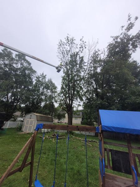 Arbortech Tree Service