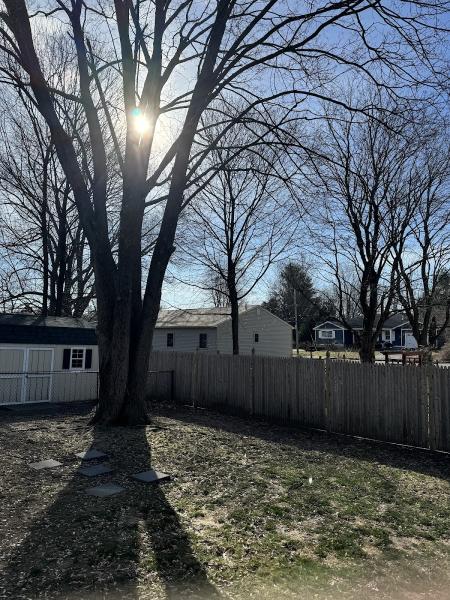 Arbortech Tree Service