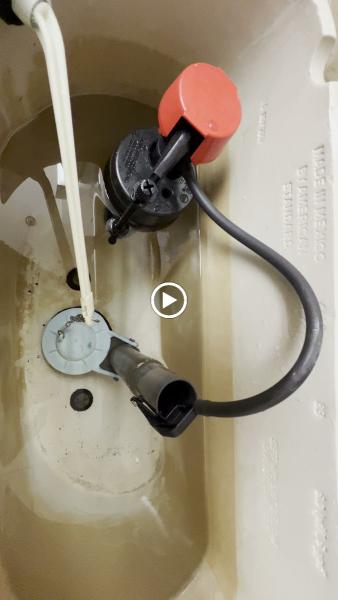 Tampa's Plumbing Solution