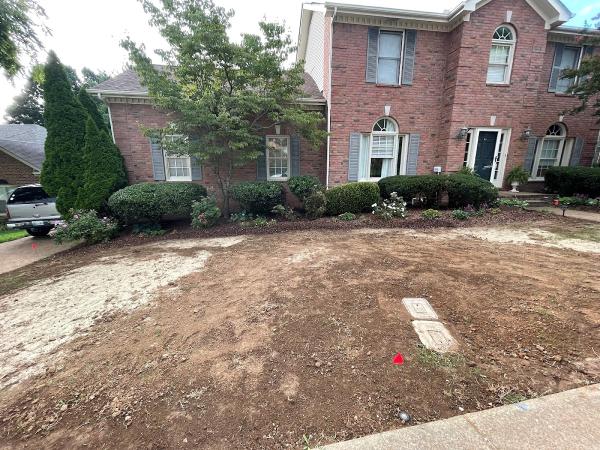 Excellens Lawncare