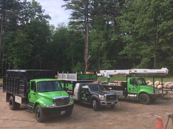 Tree Line Property Services Llc.