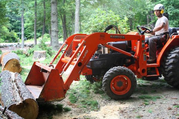 Tree Line Property Services Llc.
