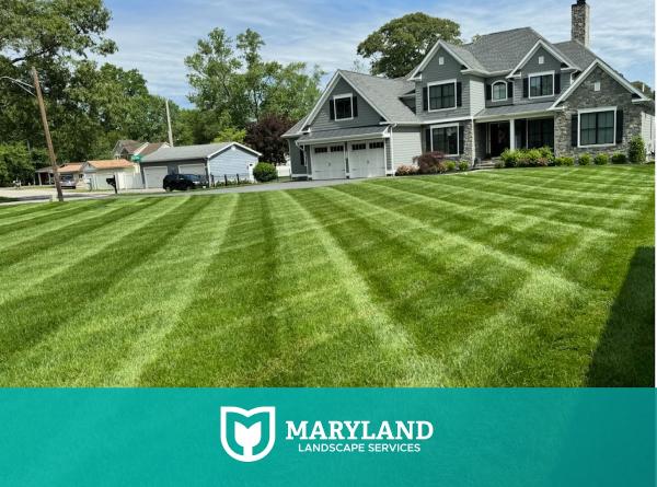 Maryland Landscape Services