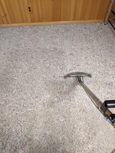 Quality Touch Carpet Cleaning
