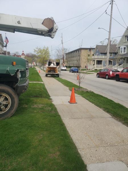 Kusch Tree Service