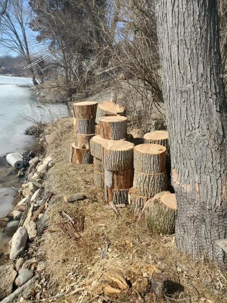 Kusch Tree Service