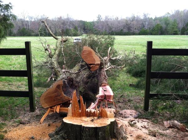 Southern Tree Solutions