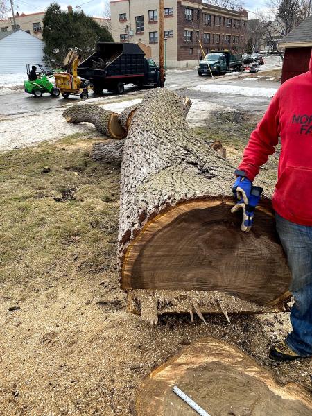 Mahner Tree Service