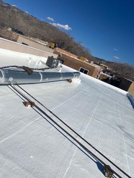 Rhino Roofing