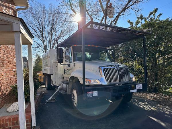 G & V Tree Service