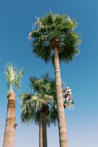 Legionnaire Landscaping