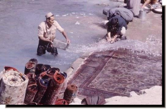 Awpov Rug Specialist Inc