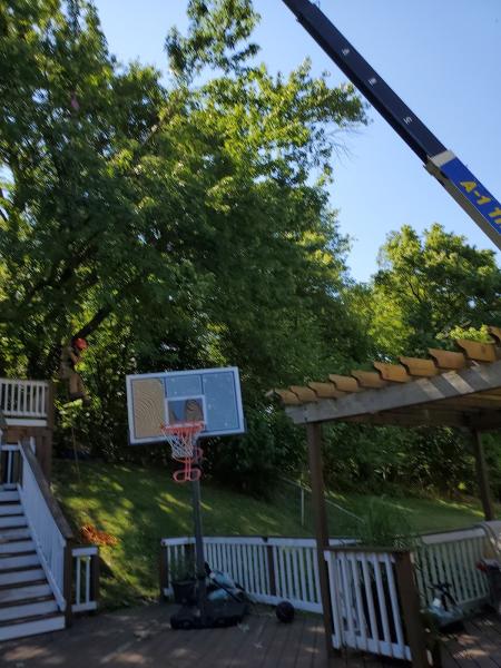 American Tree Service