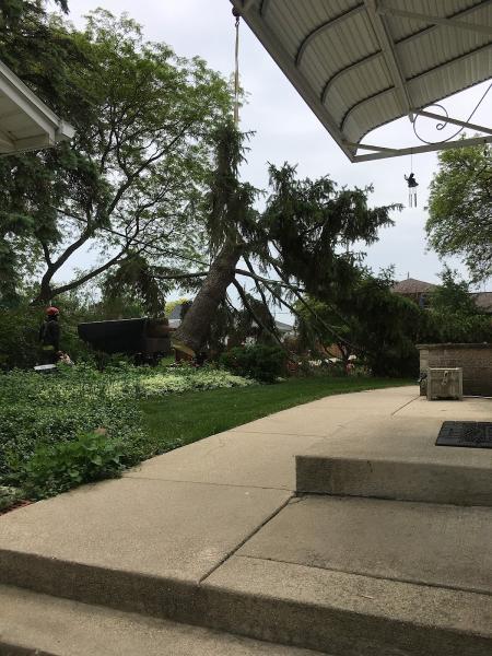 J.W. Kolp Tree Service LLC