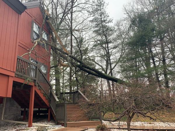 Clearview Tree and Landscaping Services