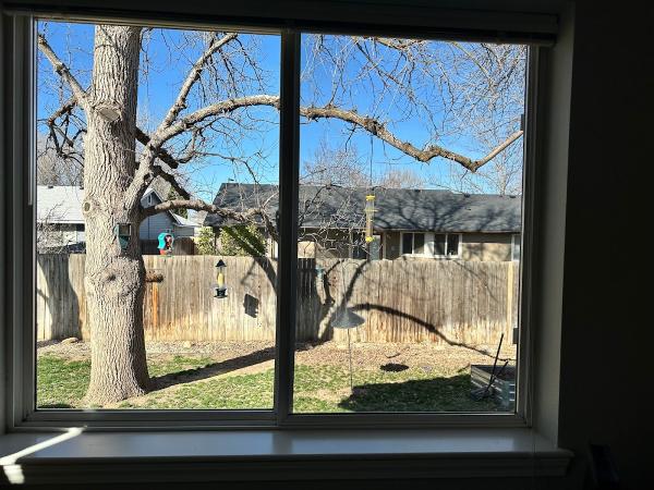 Dean's Window Cleaning