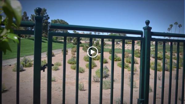 AR Iron Doors