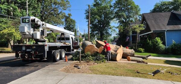 Don's Tree Service
