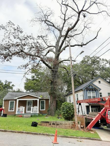 Don's Tree Service