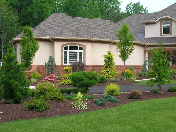 ABS Landscaping