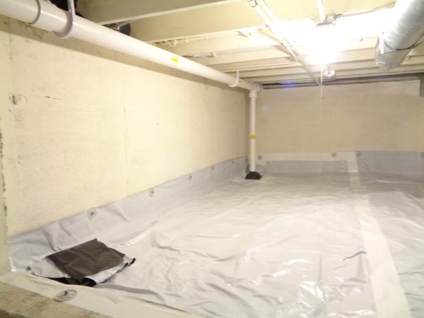 Professional Radon Systems