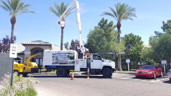 Soto's Tree Service