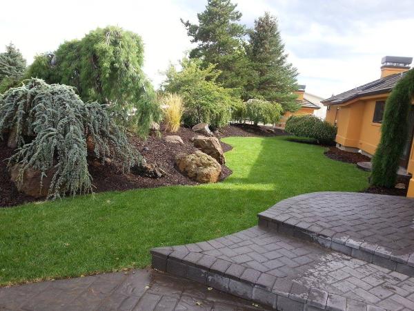 Bluestone Gardens and Landscape LLC