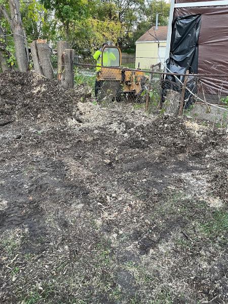 Trspros Stump Grinding & Tree Services